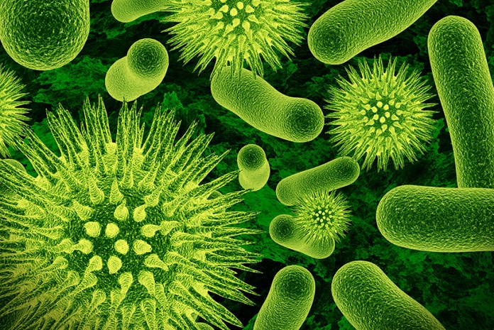Super Bactérias