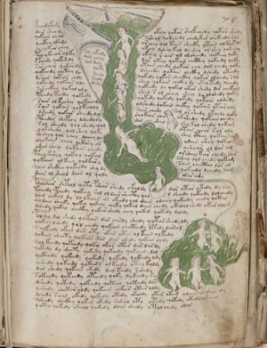 Uma página do Manuscrito Voynich