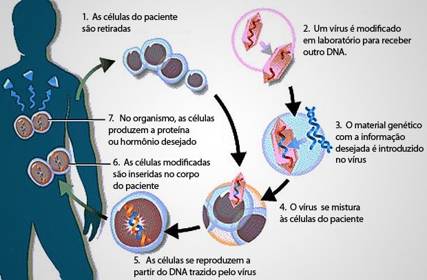 Manipulação do genoma humano