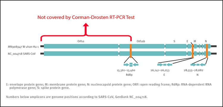 Figura 2: Posições relativas de alvos de Amplicon no coronavírus SARS-CoV-1 e no novo genoma de coronavírus 2019. ORF: quadro de leitura aberto; RdRp: RNA polimerase dependente de RNA. Os números abaixo do Amplicon são as posições do genoma de acordo com SARS-CoV-1, NC_004718 [1]